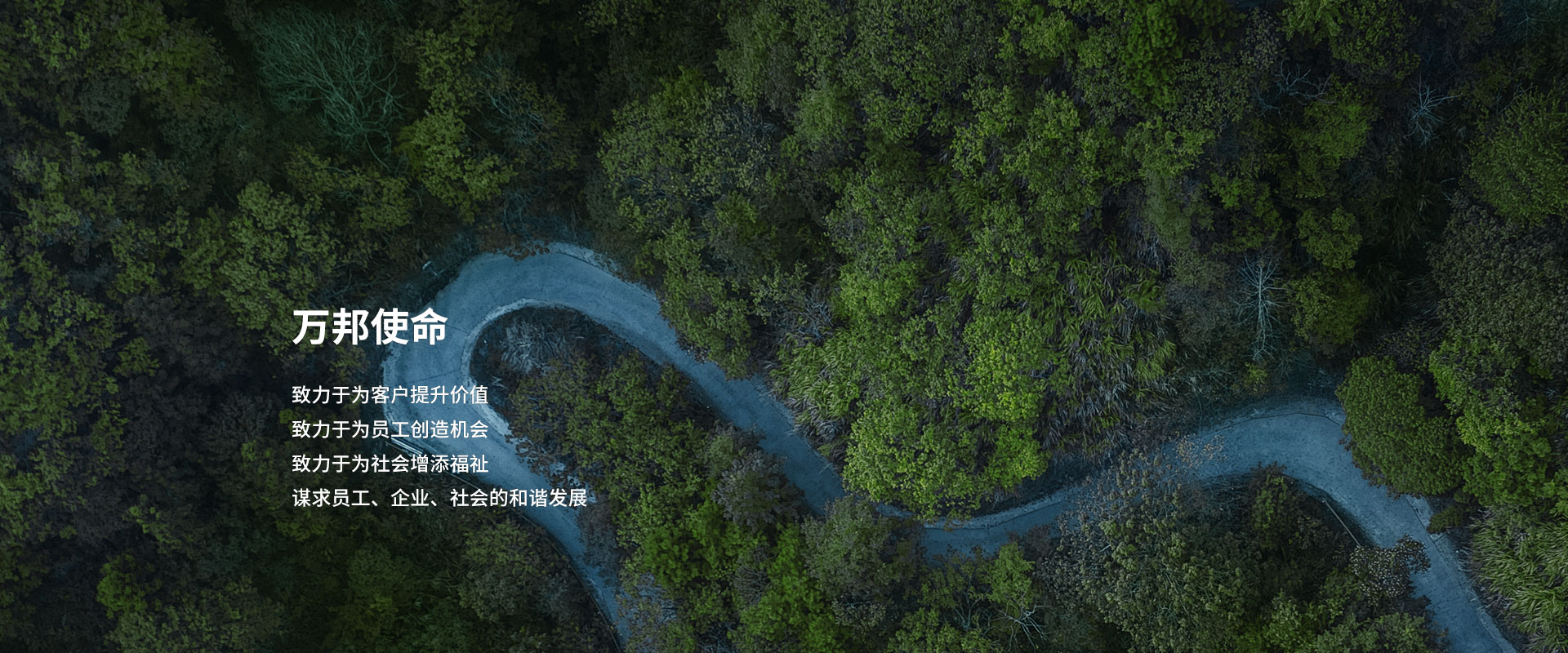 马报2025免费资料